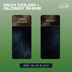Clairol Natural Instincts 2BB Blue Black hair colour swatch