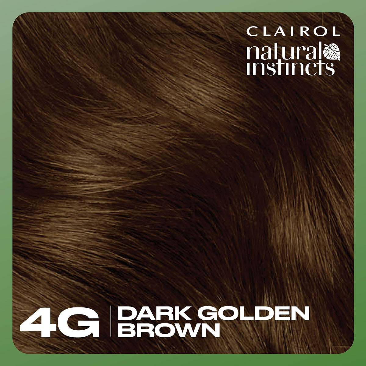Clairol Natural Instincts 4G Dark Golden Brown product details