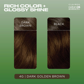 Clairol Natural Instincts 4G Dark Golden Brown shade swatch