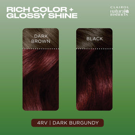 Clairol Natural Instincts 4RV Dark Burgundy hair dye mixed in a bowl