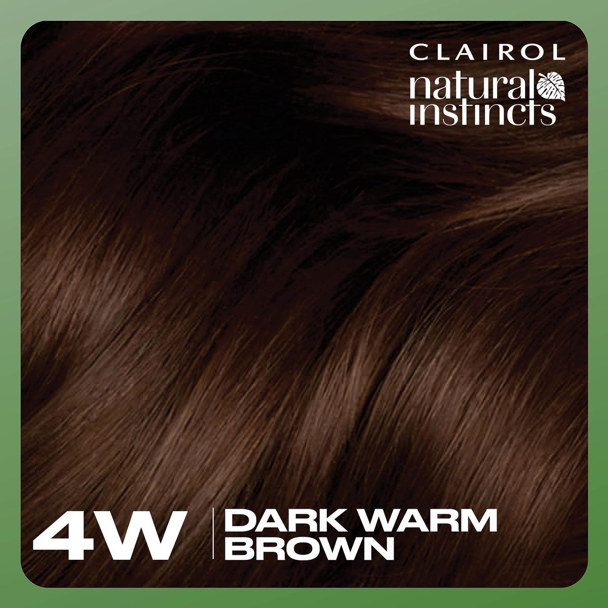 Clairol Natural Instincts 4W Dark Warm Brown shade swatch