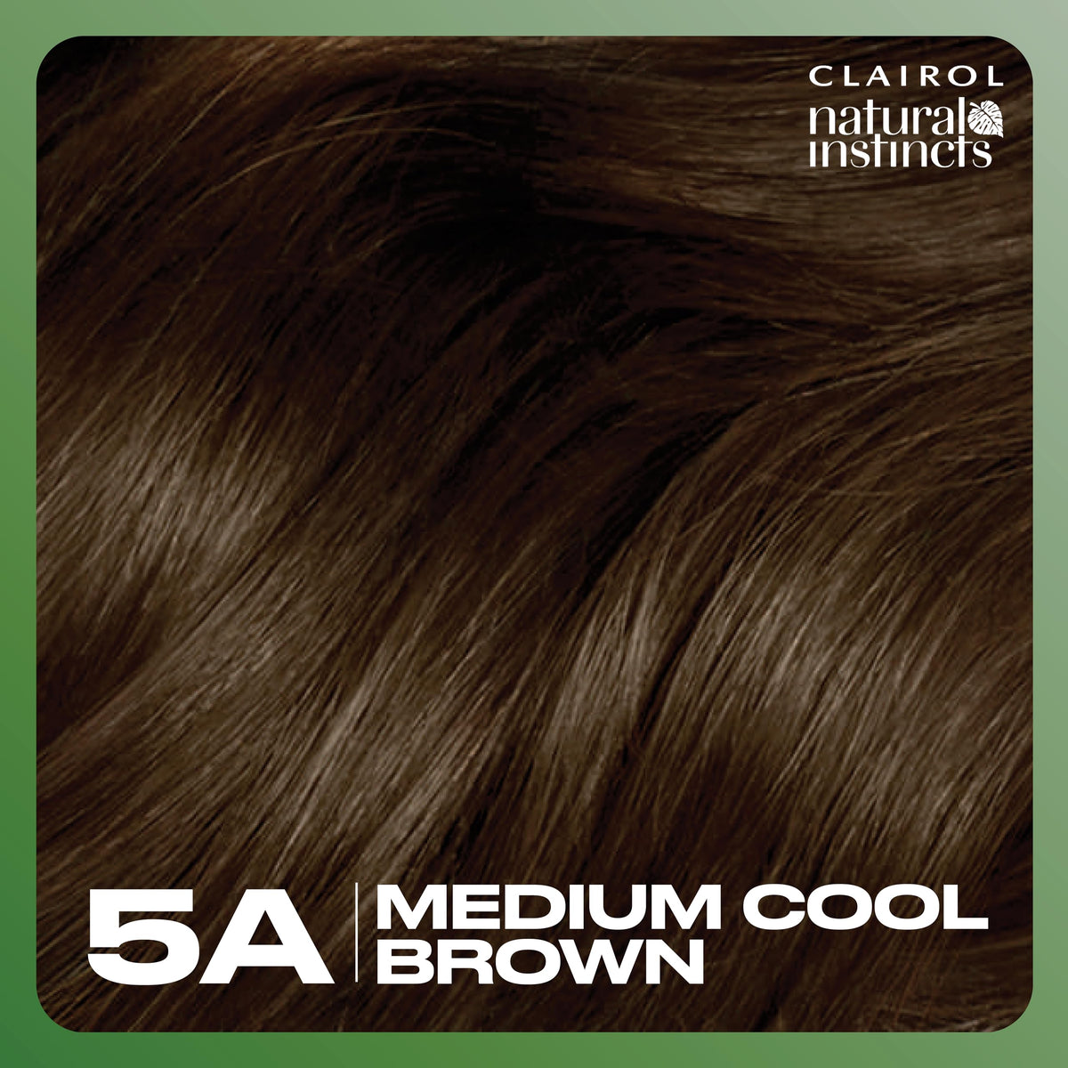 Clairol Natural Instincts 5A hair dye on a model's hair