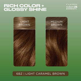 Clairol Natural Instincts application instructions leaflet