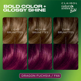 Clairol Natural Instincts F66 Dragon Fuchsia hair dye application kit contents