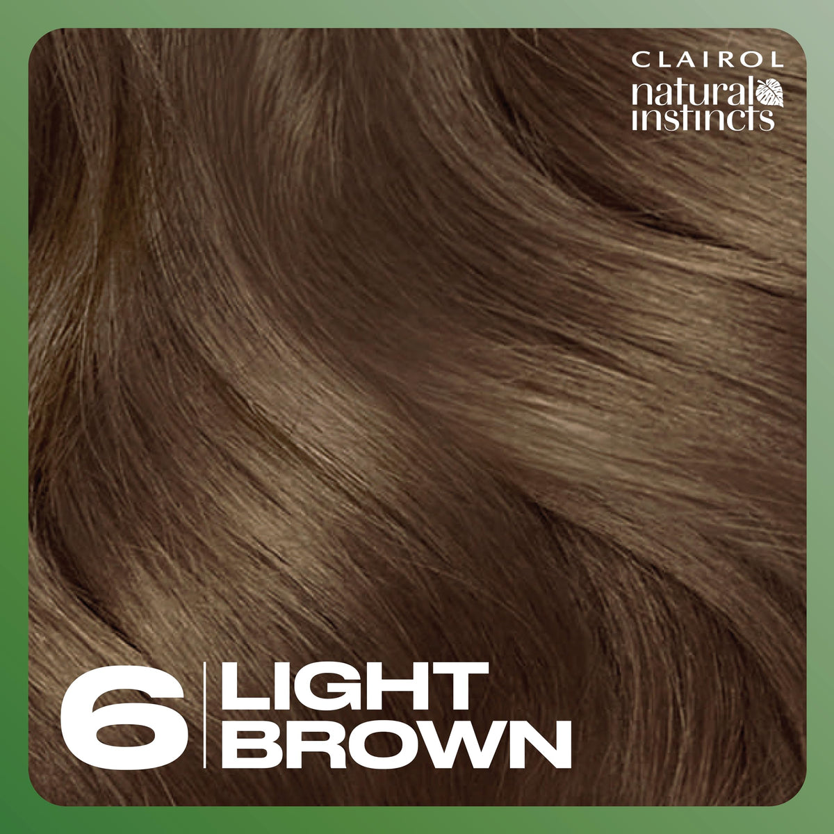 Clairol Natural Instincts hair dye 6 Light Brown shade swatch