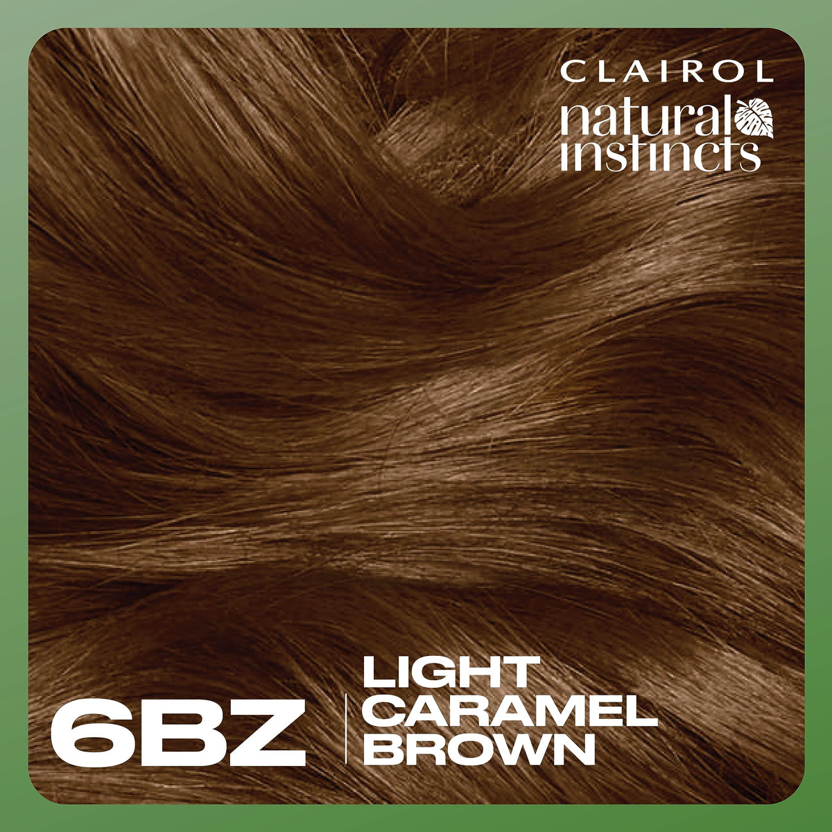 Clairol Natural Instincts hair dye application process