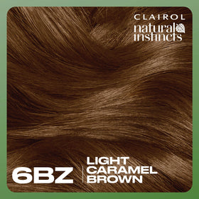 Clairol Natural Instincts hair dye application process