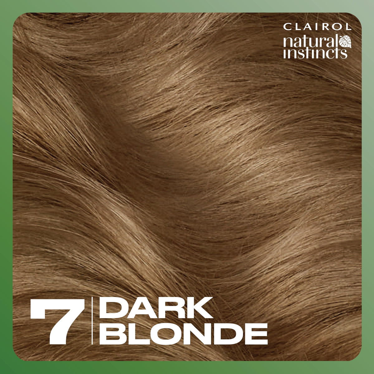 Clairol Natural Instincts hair dye application process