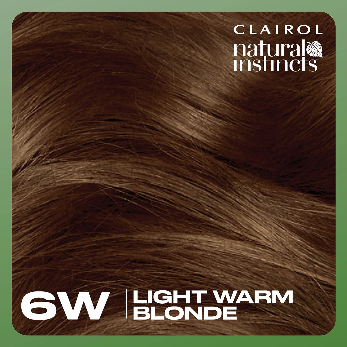 Clairol Natural Instincts hair dye application tools