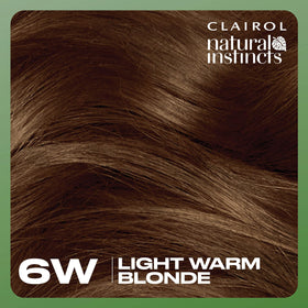 Clairol Natural Instincts hair dye application tools