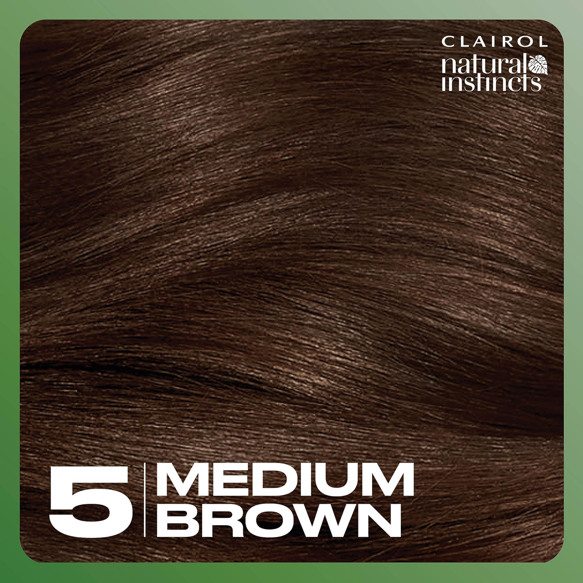 Clairol Natural Instincts hair dye before and after results