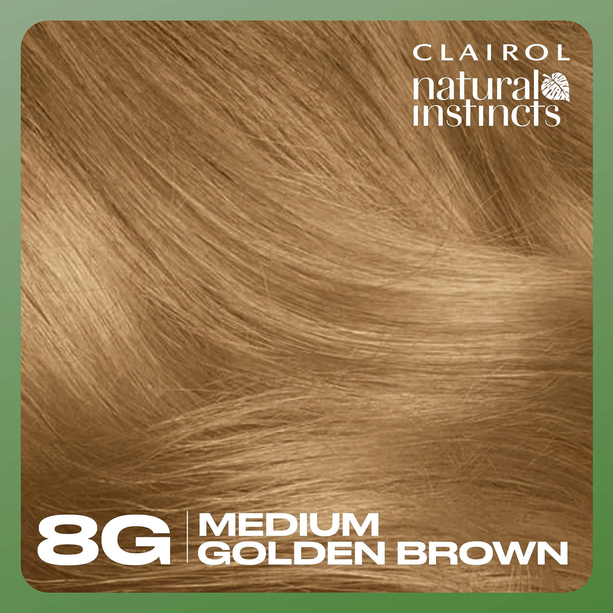 Clairol Natural Instincts instruction leaflet with application steps
