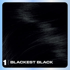 Clairol Nice'n Easy 1 Blackest Black hair dye with gloves