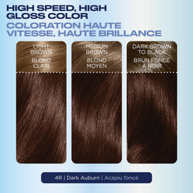 Clairol Nice'N Easy 10 Permanent Hair Dye 4R Dark Auburn ColorSeal Intensive Conditioner