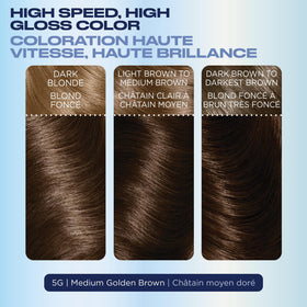 Clairol Nice'N Easy 10 Permanent Hair Dye 5G Medium Golden Brown product contents overview