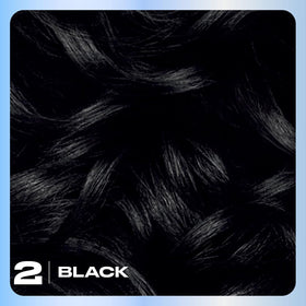 Clairol Nice'n Easy 2 Black color cream and activator close-up