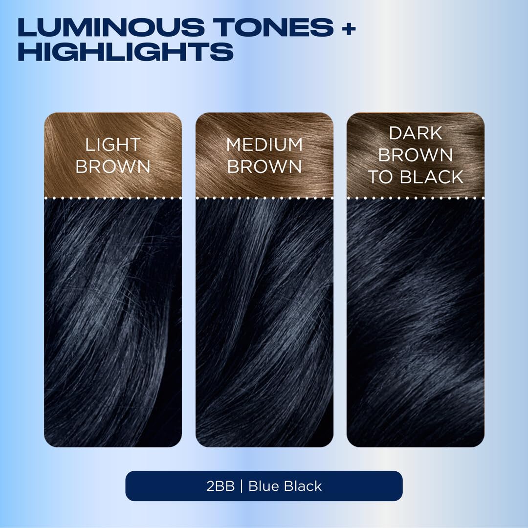 Clairol Nice'n Easy 2BB Blue Black hair dye application process