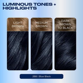 Clairol Nice'n Easy 2BB Blue Black hair dye application process