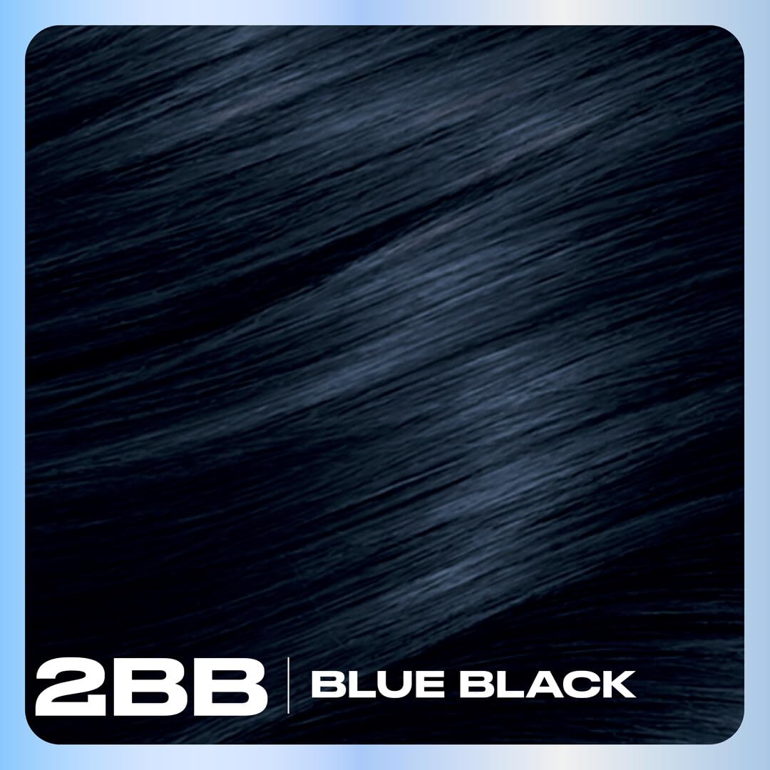 Clairol Nice'n Easy 2BB Blue Black hair dye with gloves and instructions