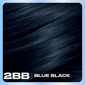 Clairol Nice'n Easy 2BB Blue Black hair dye with gloves and instructions