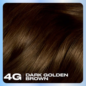 Clairol Nice'n Easy 4G Dark Golden Brown hair dye packaging