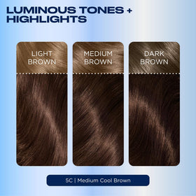 Clairol Nice'n Easy 5C hair dye application process