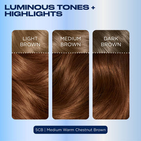 Clairol Nice'n Easy 5CB hair dye results on hair