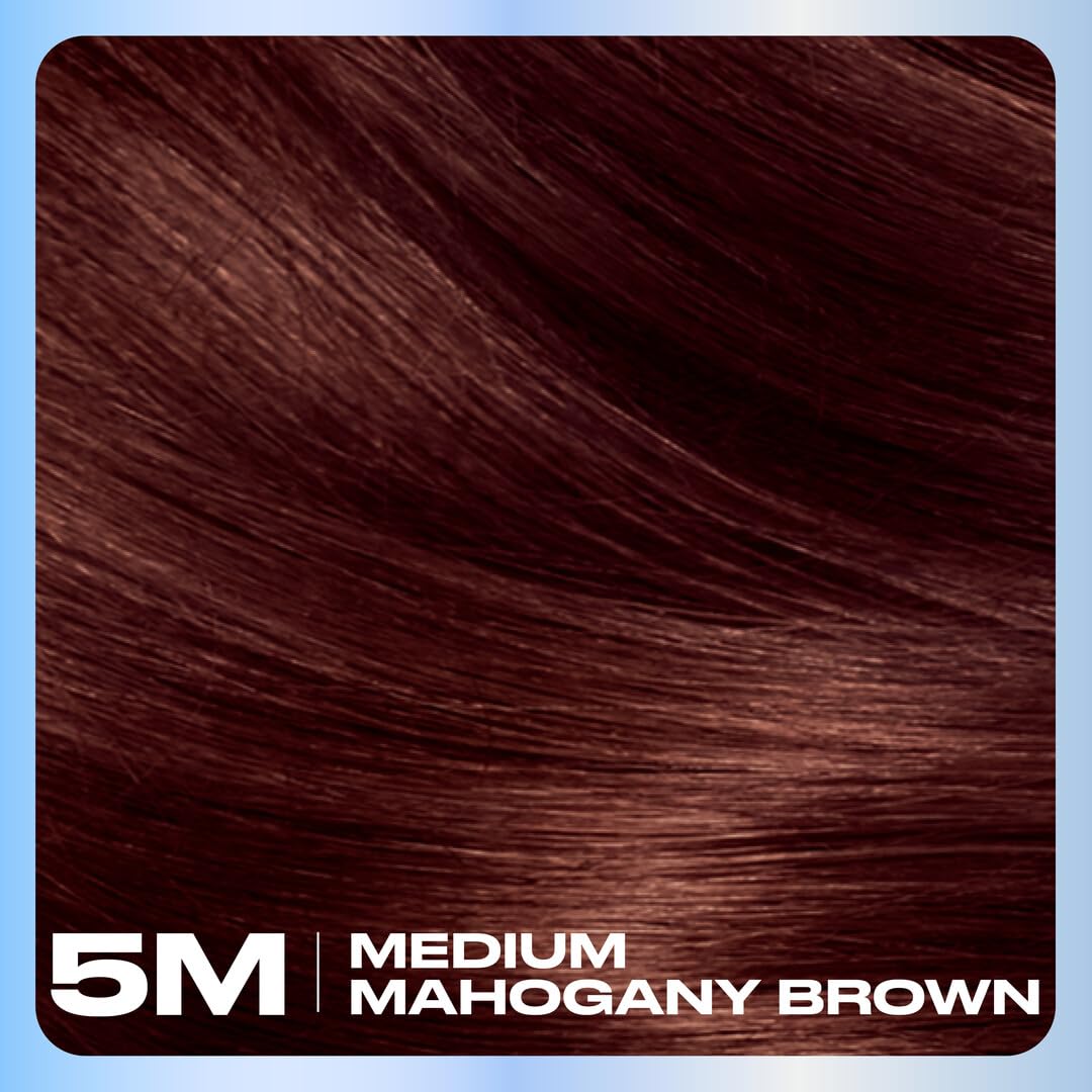 Clairol Nice'n Easy 5M Medium Mahogany Brown hair dye with gloves and instruction leaflet