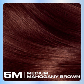 Clairol Nice'n Easy 5M Medium Mahogany Brown hair dye with gloves and instruction leaflet