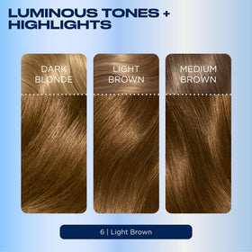 Clairol Nice'n Easy 6 Light Brown packaging side view