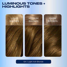 Clairol Nice'n Easy 6A Light Ash Brown hair dye application process