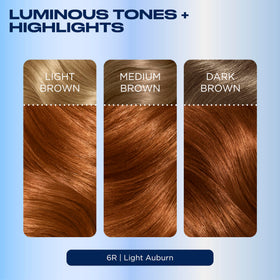 Clairol Nice'n Easy 6R Auburn hair dye with Revitashine