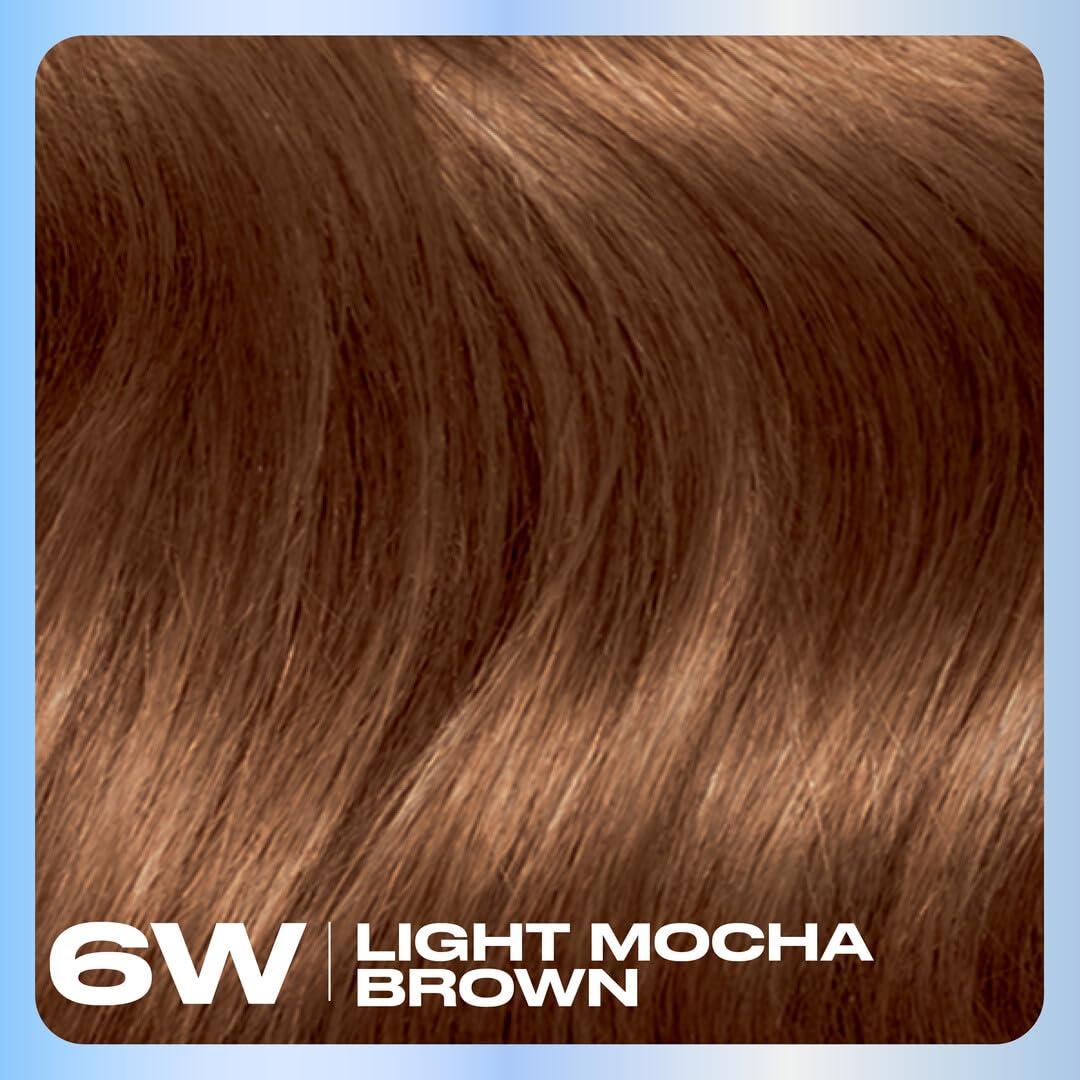 Clairol Nice'n Easy 6W Light Mocha Brown hair dye back view