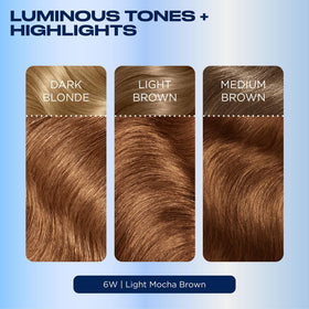 Clairol Nice'n Easy 6W Light Mocha Brown hair dye with Revitashine
