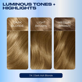 Clairol Nice'n Easy 7C Dark Cool Blonde Revitashine Intense