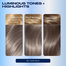 Clairol Nice'n Easy 8S Soft Silver hair dye with Revitashine Intense