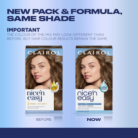 Clairol Nice'n Easy application kit contents including gloves and instructions