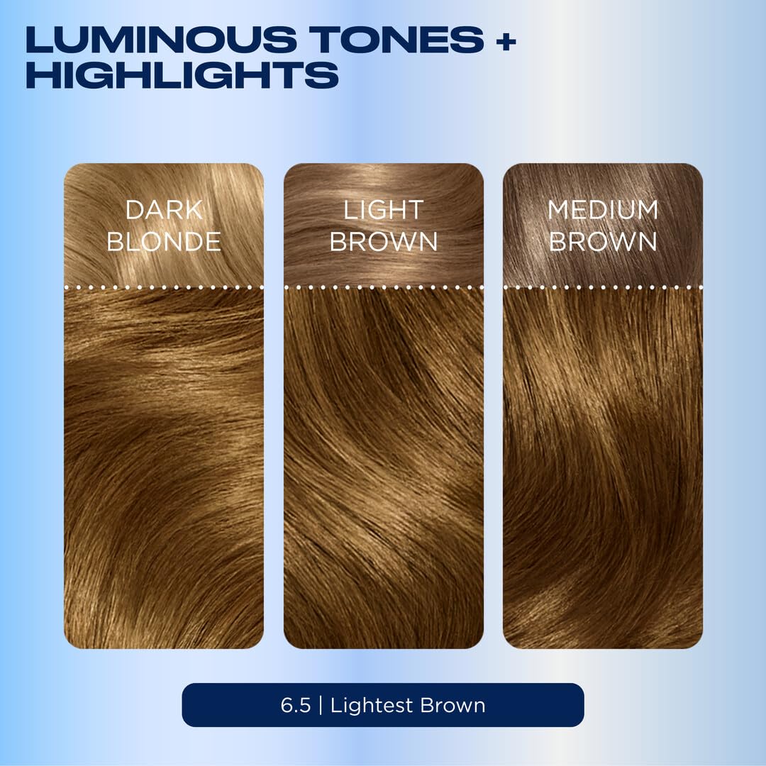 Clairol Nice'n Easy hair dye application process