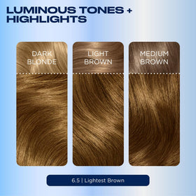 Clairol Nice'n Easy hair dye application process