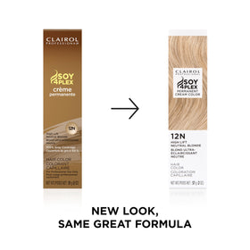 Clairol Professional hair color application instructions