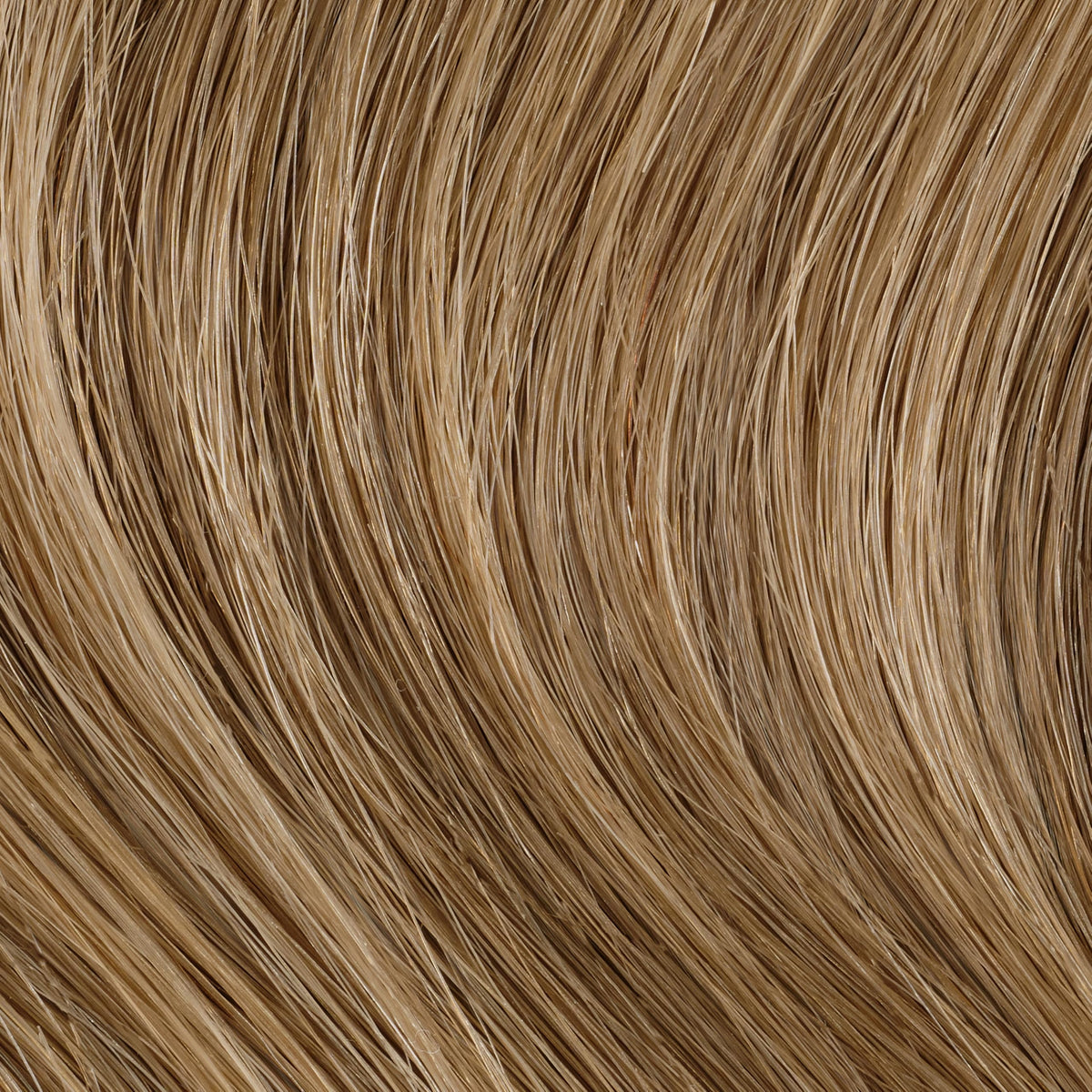 Clairol Professional hair color application process