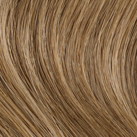 Clairol Professional hair color application process