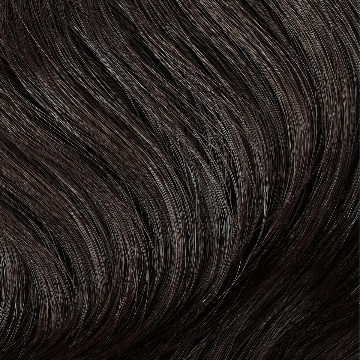 Clairol Professional hair color application process