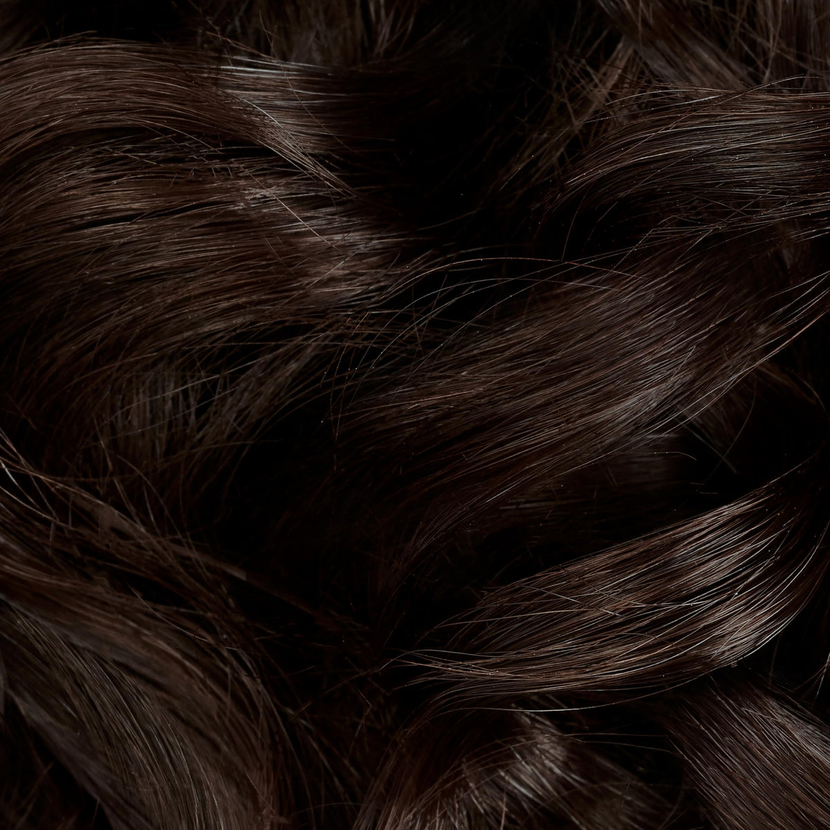 Clairol Professional hair color application process