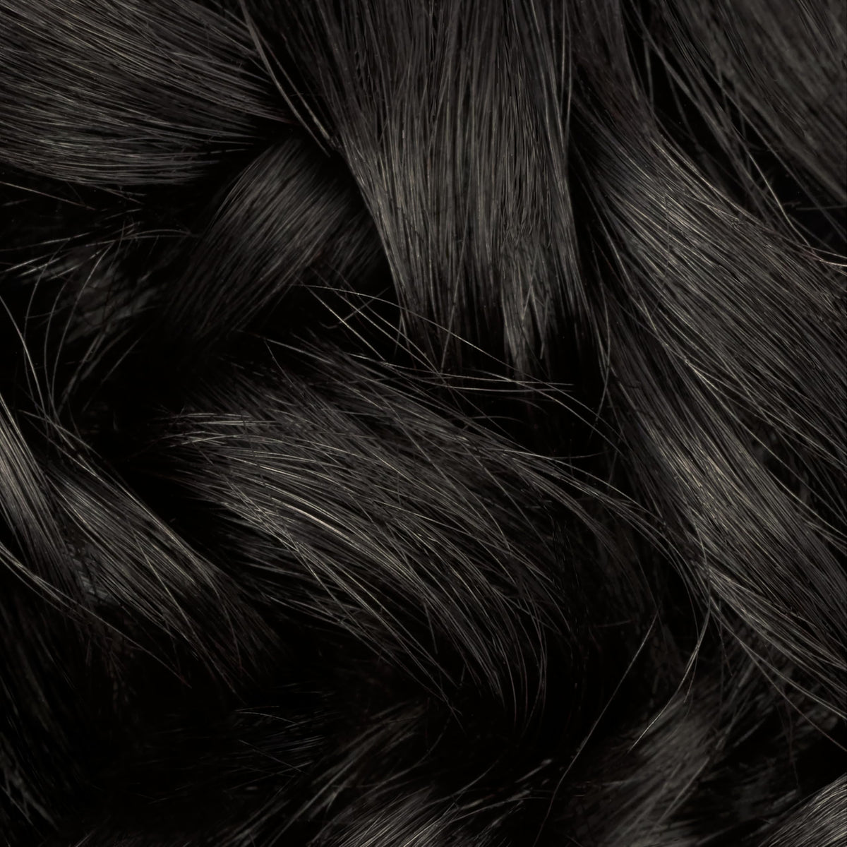 Clairol Professional hair color application process