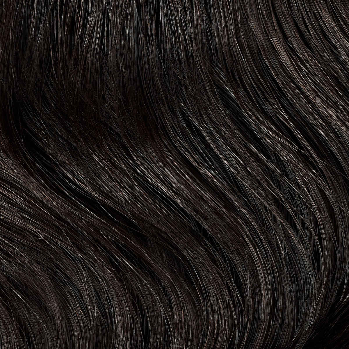 Clairol Professional hair color application process