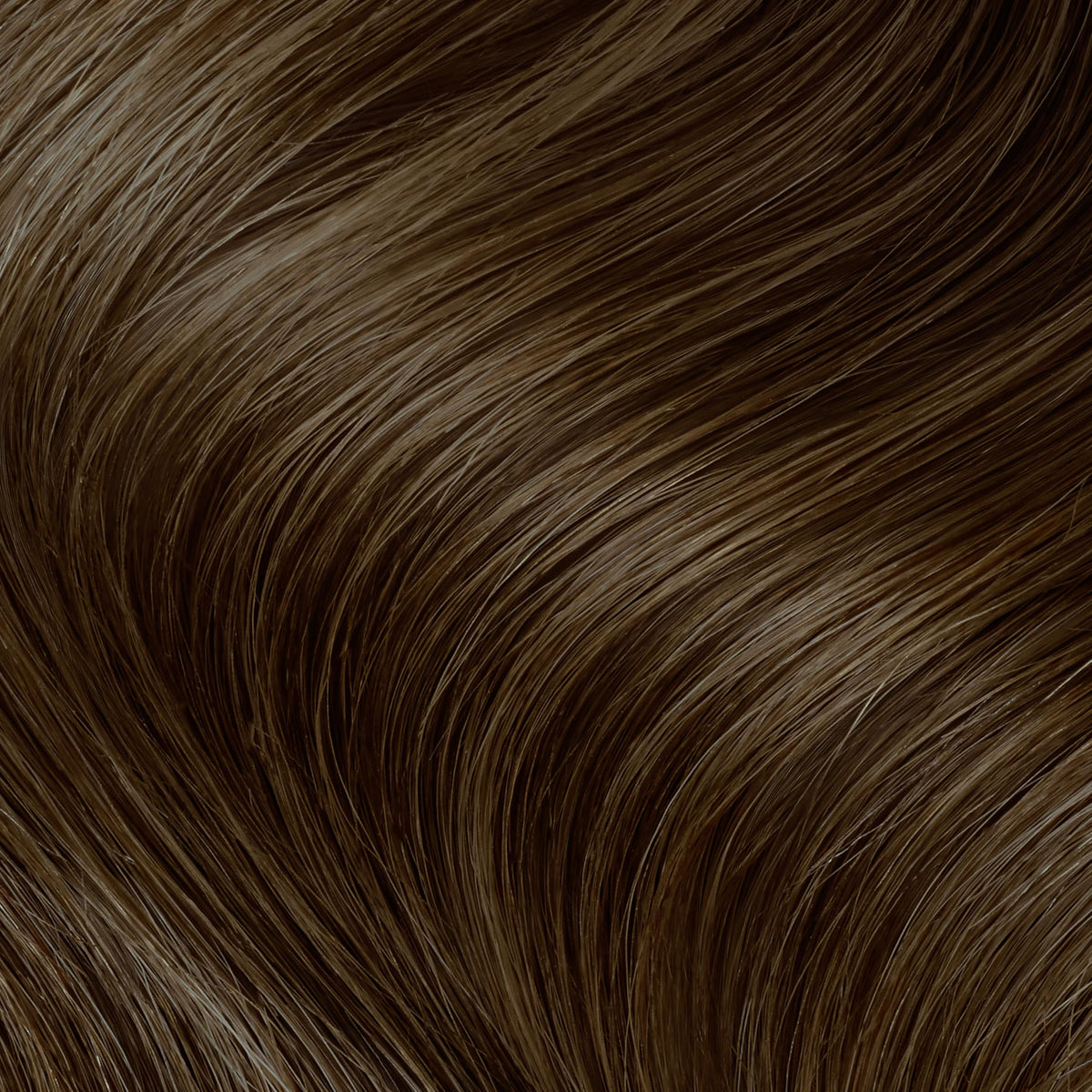 Clairol Professional hair color application process with bowl and brush