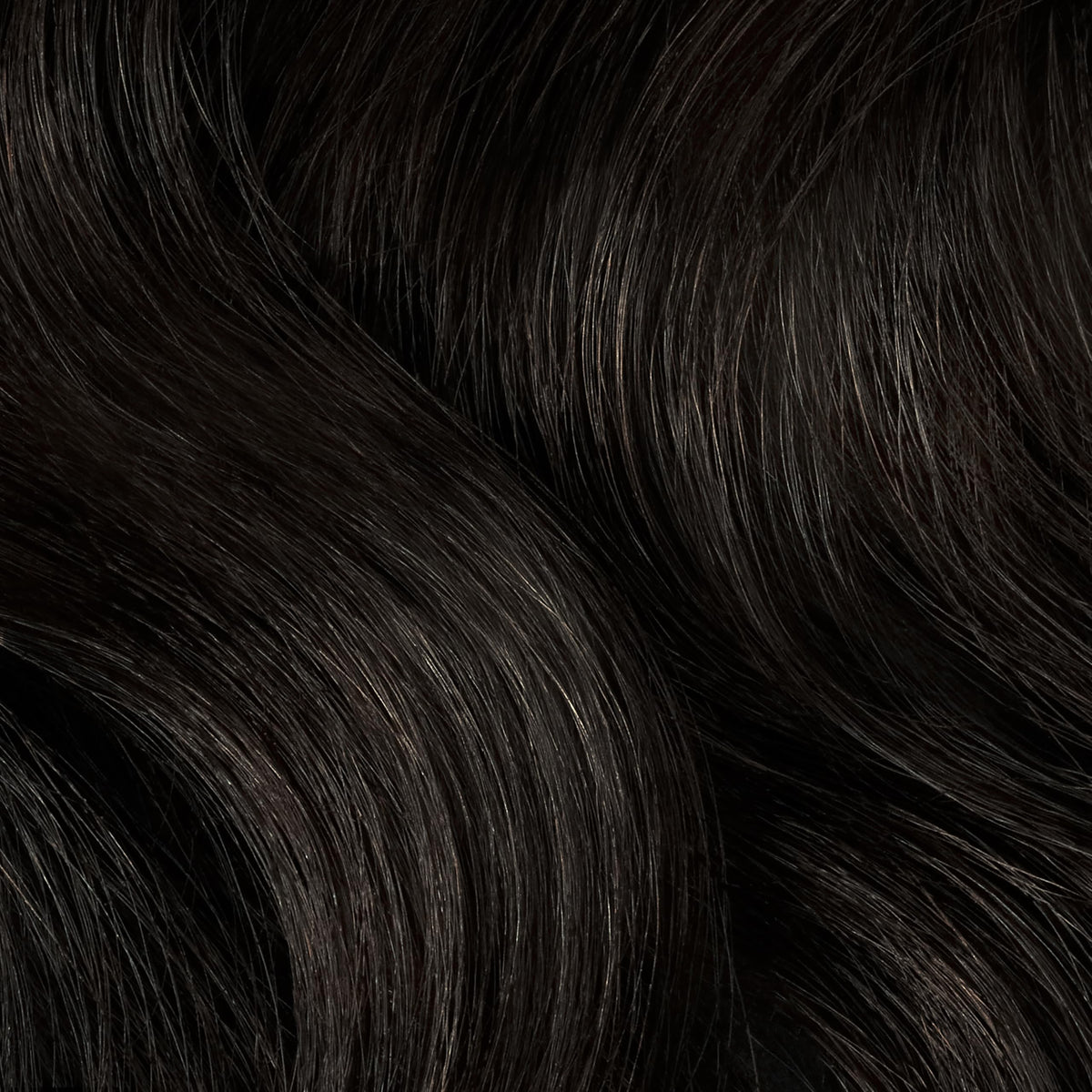 Clairol Professional hair color application scene