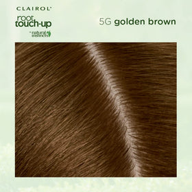 Clairol Root Touch-Up 5G Gold Brown hair dye before and after