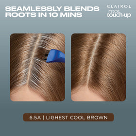 Clairol Root Touch Up 6.5A brush and bowl for application